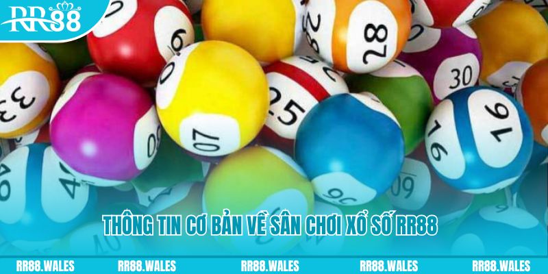 ae 388 đá gà hôm nay