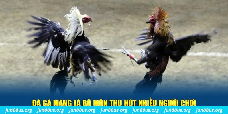 ae 388 đăng nhập lô đề hàng đầu