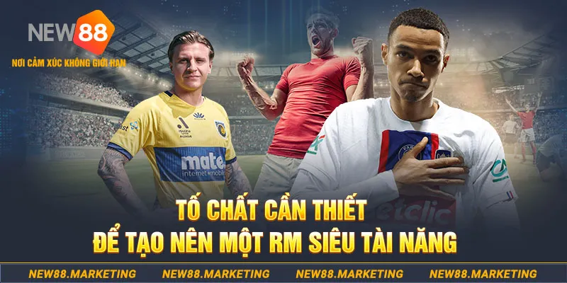 ae 388 đá gà thomo