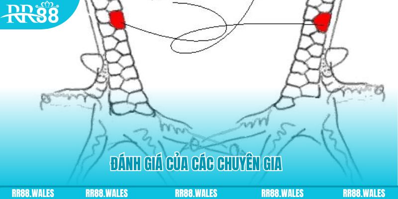 ae 388 V8 Game Bài 3d