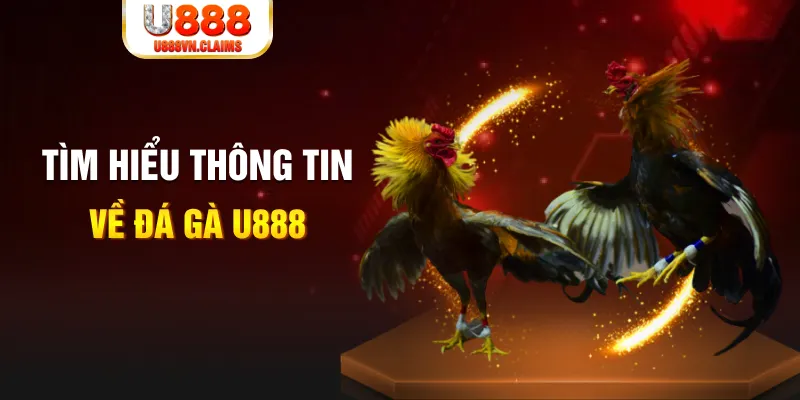 ae 388 đăng nhập tiến lên miền nam hàng đầu