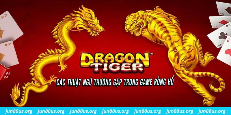 ae 388 ÁT CHỦ BÀI ĐẤU ĐỊA CHỦ