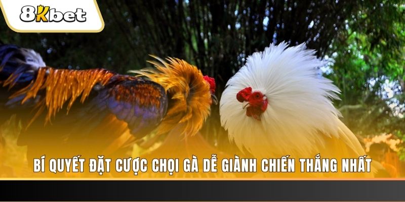 ae 388 xổ số thứ hai hàng tuần