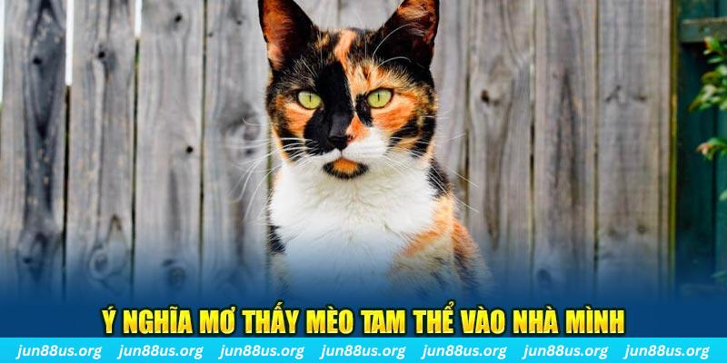 ae 388 RTG Bắn cá