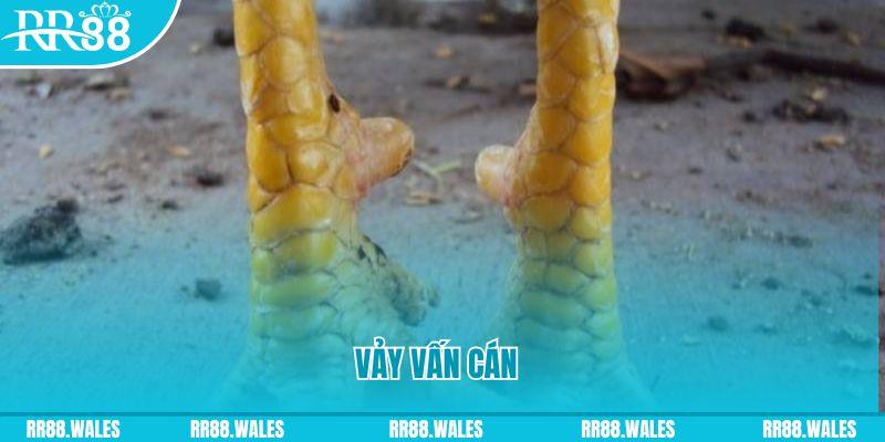 ae 388 đăng nhập nổ hũ hôm nay