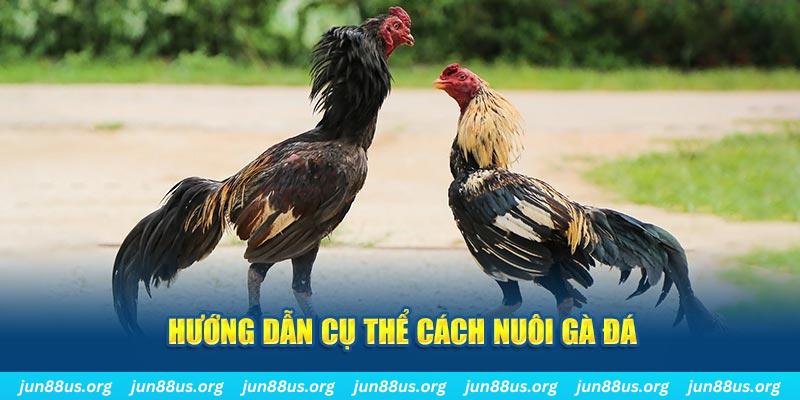 ae 388 đăng nhập sòng bạc số 1